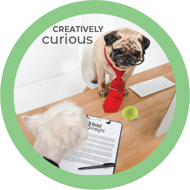 curious_off copy_withtext