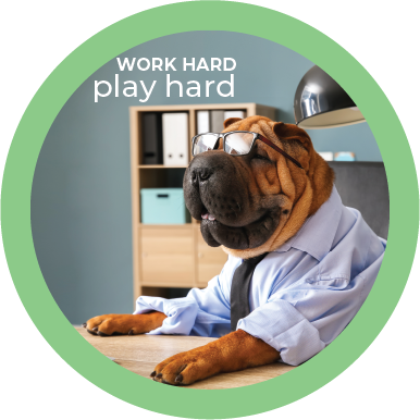 workhard_on copy_withtext