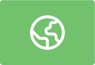 Global project management